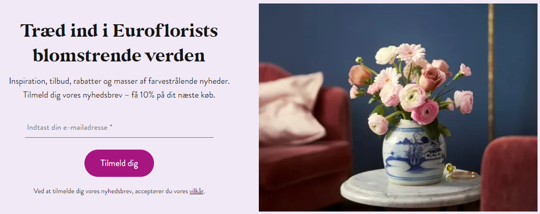 Bild1.png